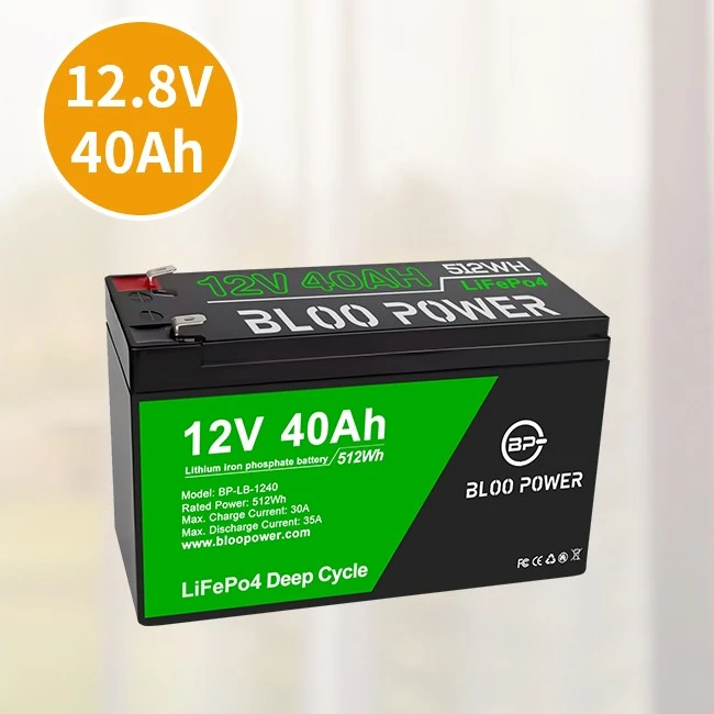 lithium ion phosphate battery