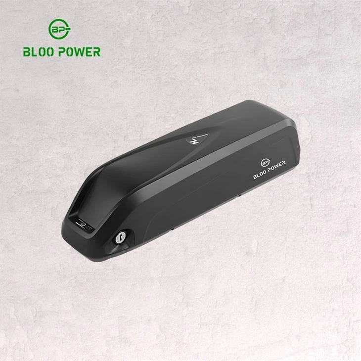 Lithium Ion Battery Pack 24V 36V 48V